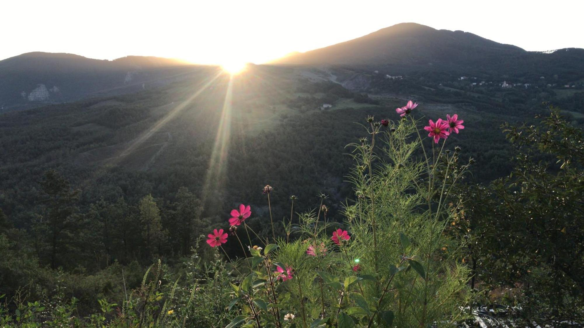 Le Spine B&B Sulla Via Francigena Berceto Esterno foto